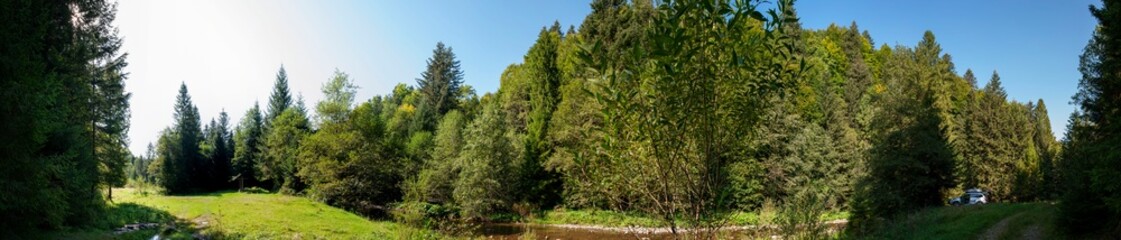 Panorama of a green meadow surrounded by a forest. A large green meadow surrounded by a forest. Forest meadow.
