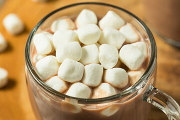 Homemade Warm Hot Chocolate with Marshmallows