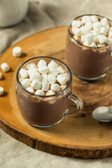 Homemade Warm Hot Chocolate with Marshmallows
