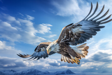 Obraz premium Mächtiger Seeadler im Flug, Generative AI