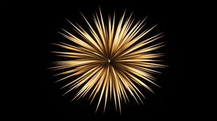 Fototapeta premium A shining golden starburst against a dark and mysterious background, perfect for use in designs about hope, guidance, or celestial themes