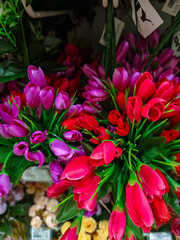 fake flowers in red and purple