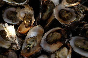 Grilled oysters - Close up detail of grilled oysters ready to eat