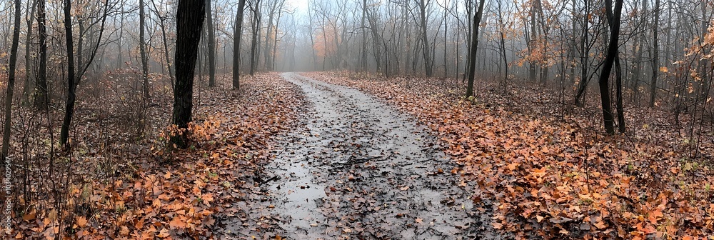 Poster serene and picturesque winding path through a lush autumn forest with colorful fallen leaves scatter
