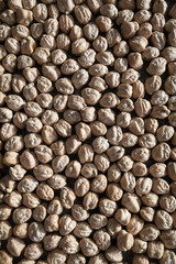 Dried chickpeas in a close-up shot