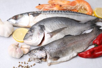 Different fresh sea food with spices on light grey table, closeup