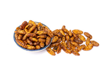 Food for pet. Dried Silkworm Pupae in ceramic cup suitable as a snack for sugar glider, squirrel, chipmunk, fish and reptiles etc isolated on white background.