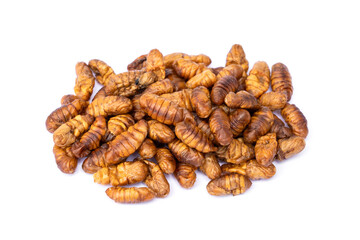 Food for pet. Dried Silkworm Pupae high protein supplements for pets suitable as a snack for sugar glider, squirrel, chipmunk, fish and reptiles etc isolated on white background.