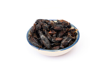 Food for pet. Dried Cricket Treats in ceramic cup suitable as a snack for sugar glider, squirrel, chipmunk, fish and reptiles etc isolated on white background.