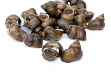 Pile of River snails - Filopaludina martensi Popularly used in Thai food menus such as Roasted curry Thick soup or Kaeng Oom isolated on white background.