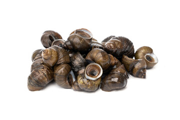 Pile of River snails - Filopaludina martensi Popularly used in Thai food menus such as Roasted curry Thick soup or Kaeng Oom isolated on white background.