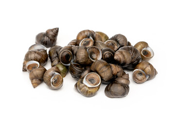 Pile of River snails - Filopaludina martensi Popularly used in Thai food menus such as Roasted curry Thick soup or Kaeng Oom isolated on white background.