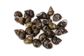 Pile of River snails - Filopaludina martensi Popularly used in Thai food menus such as Roasted curry Thick soup or Kaeng Oom isolated on white background.