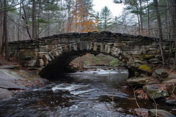 Fototapeta premium A natural stone bridge spanning a tranquil forest stream