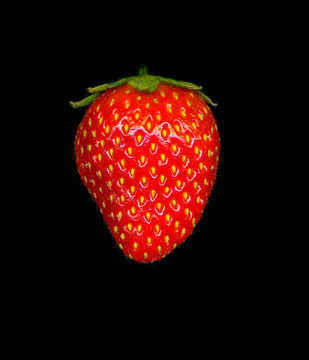 one ripe strawberry berry on a black background, scanography