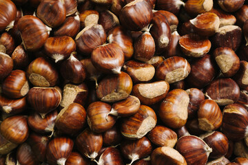 Edible chestnuts texture. Pile of chestnuts grouped together. Brown shells background. Rich autumn tones. Nuts pattern.