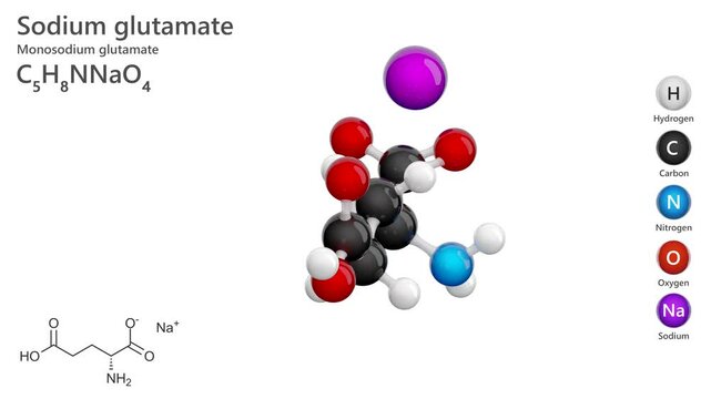 Sodium hydrogen glutamate is a sodium salt of glutamic acid. Its used as a flavor enhancer in food products. Molecular formula: C5H8NNaO4. Chemical model: Ball and Stick. White background. 3D render