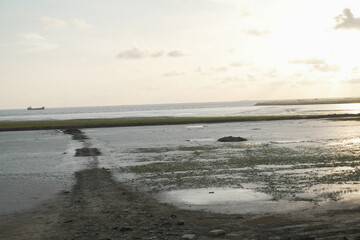 Low tide coastal landscape with muddy shoreline and calm sea horizon