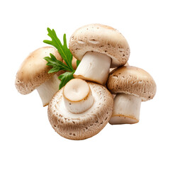 Fresh mushrooms with green parsley garnish