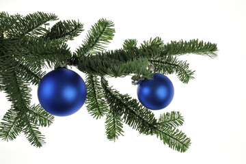 Christmas blue satin glass balls hanging on a green pine branch