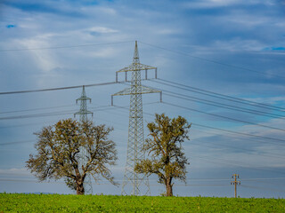 Strommasten im Feld