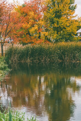 A peaceful autumn lake scene with colorful foliage reflecting on calm water, framed by trees in vibrant fall colors, creating a serene landscape.
