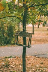 A wooden bird feeder tied to an oak branch, hanging low with autumn leaves in yellow and green. Background shows a park path in soft focus. Picture evoking  seasonal transition.
