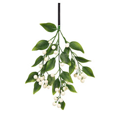 Mistletoe branch with green leaves and white berries, white isolated background