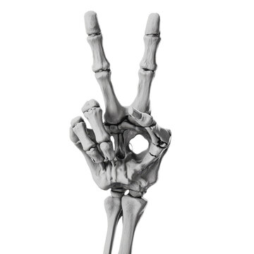 Skeleton Hand Making Peace Sign Gesture, Transparent Background - Made with Generative AI