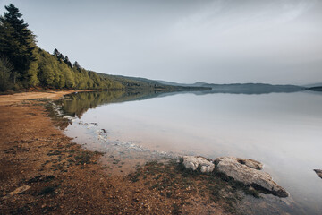 Beautiful forest on the lake, the perspective of the shore stretching into the distance, Shaori Reservoir Georgia
