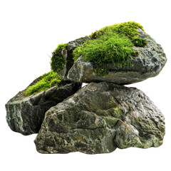 Natural rocks covered with green moss showcasing a serene outdoor setting in daylight hours