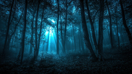 Fototapeta premium Misty Forest with Sunlight Breaking Through Trees