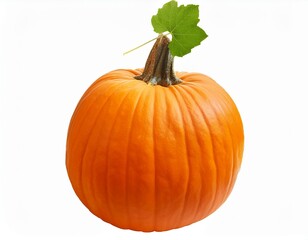 A vibrant orange pumpkin