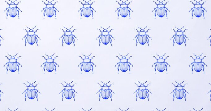 Hand drawn pattern royal blue beetle background