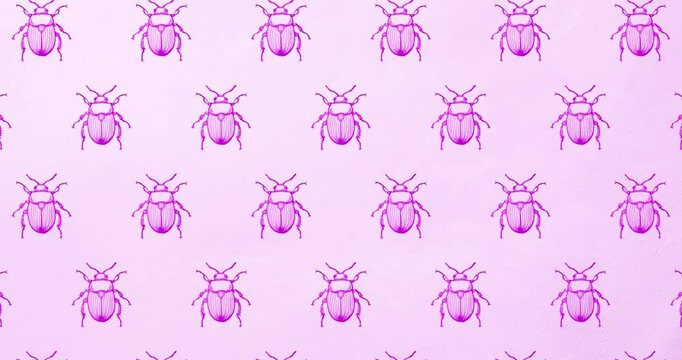 Hand drawn pattern pink beetle background