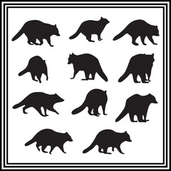 Raccoon vector illustration set on white background