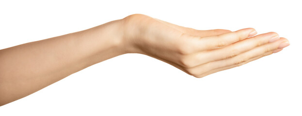 A woman's hand is outstretched asking for help and alms, palm facing upwards, against a white background. The hand is relaxed and open, suggesting an offering or gesture of receiving