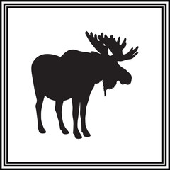 Big moose silhouette on white background