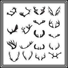 A big collection of all kinds of  antlers