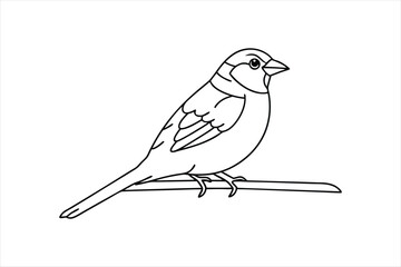  Line art Sparrow bird sitting on a tree branch Vector artwork illustration.