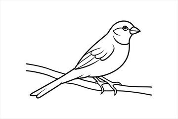  Line art Sparrow bird sitting on a tree branch Vector artwork illustration.