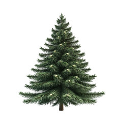 Fototapeta premium Realistic Christmas tree with lush green branches and lights, white isolated background.