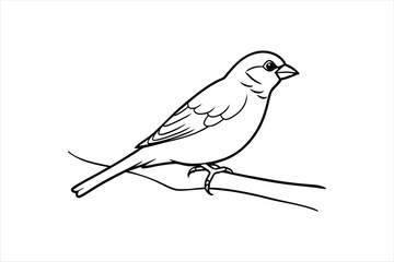  Line art Sparrow bird sitting on a tree branch Vector artwork illustration.