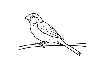  Line art Sparrow bird sitting on a tree branch Vector artwork illustration.