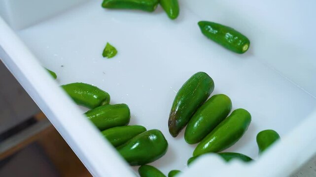 Production of chili and jalapeno pepper sauce. Making hot sauce from red chili peppers and green jalape&ntilde;o peppers. Fiery jalape&ntilde;o sauce. Production of ajdica and hot pepper seasonings.