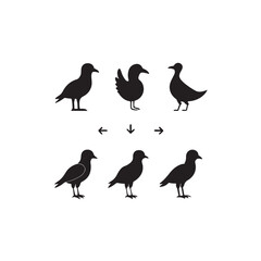 6 bird silhouettes clip art