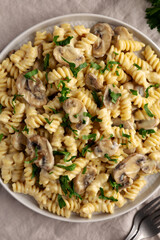 Homemade Mushroom Stroganoff on a Plate, top view. Flat lay, overhead, from above.