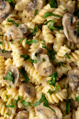Homemade Mushroom Stroganoff on a Plate, top view. Flat lay, overhead, from above.