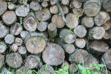 stack of wood
