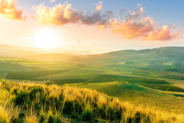 beautiful landscape in a yellow golden field in autumn or summer evening with nice rustic view of hills in countryside